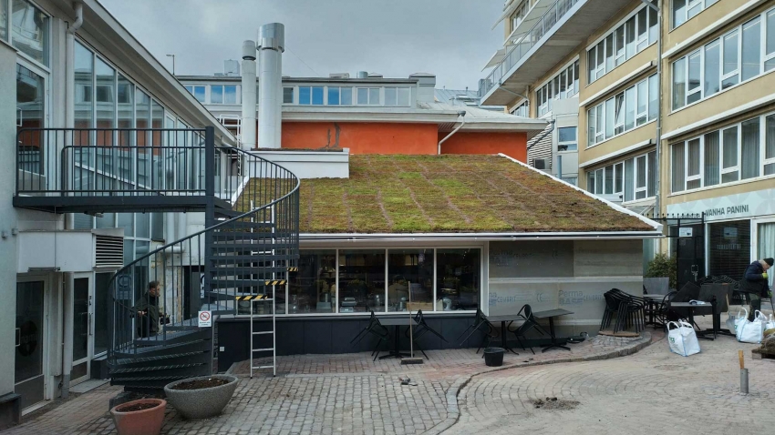 Valmis asennettu Nordic Green Roof maksaruohoviherkatto Casagrande-talon katolla. Asennnuksen on suorittanut Eg-Trading Oy.