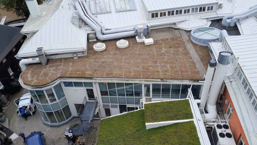 Ylhäältä käsin näkyy eri aikaan asennettujen maksaruohoviherkattojen välinen väriero. Asennuksen on toteuttanut Nordic Green Roof maksaruohomatoilla Eg-Trading Oy.