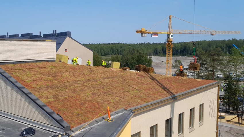 Nordic Green Roof® Maksaruohoviherkatto Ja Greenfix Niittykatto ...