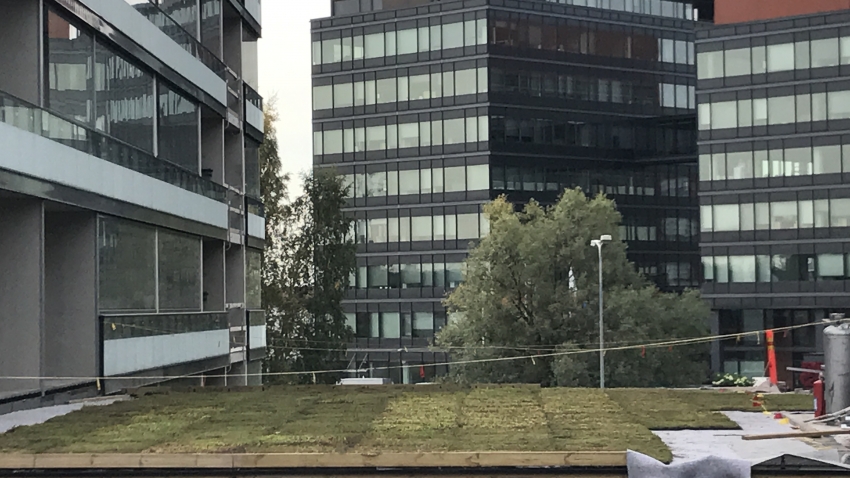 Nordic Green Roof® maksaruohomattoa asennetaan vedenpitomaton päälle. Asennus Eg-Trading Oy.