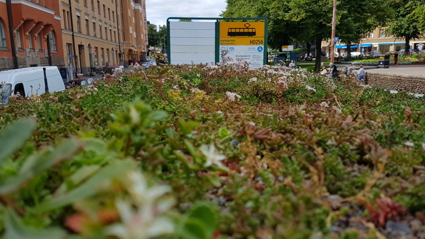 Nordic Green Roof -maksaruohomatto asennettuna Karhupuiston raitiovaunupysäkin katolle. Asentaja Eg-Trading Oy.
