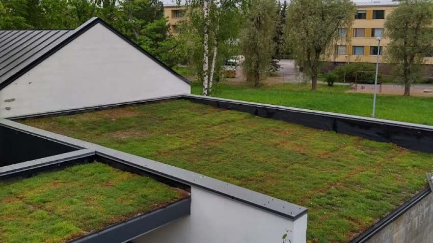 Nordic Green Roof® maksaruohomatto juuri asennettuna toukokuussa. Asentaja Eg-Trading Oy.