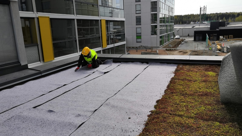 Nordic Green Roof® maksaruohomattoa asennetaan vedenpitomaton päälle. Eg-Trading Oy.
