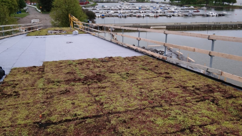 Nordic Green Roof® maksaruohomattoja asennetaan Vaasassa. Asentaja Eg-trading Oy.