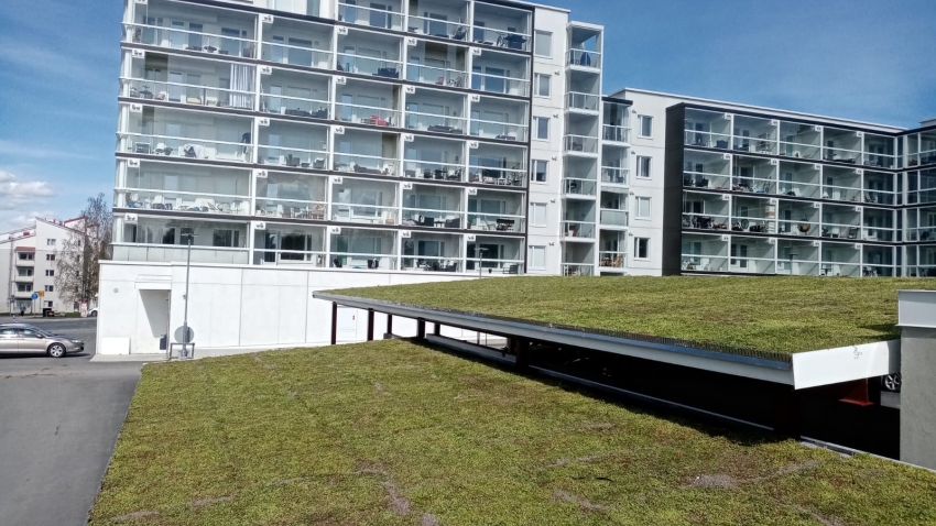 Valmis Nordic Green Roof® maksaruohoviherkatto. Asentaja Eg-trading Oy.