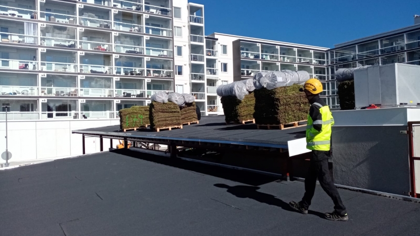 Nordic Green Roof® maksaruohomatot on nostettu katolle lavoilla. Eg-Trading Oy.