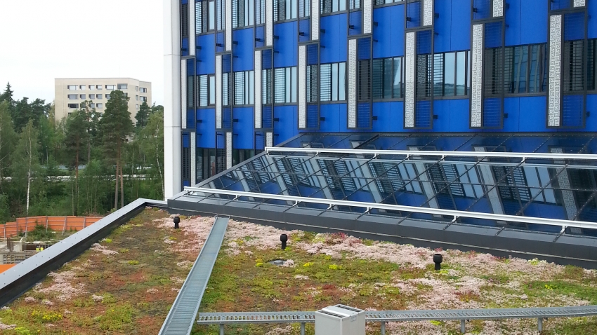 Nordic Green Roof® maksaruohoviherkatot kukkivat runsaasti monikirjoisen lajiston johdosta. Asentaja Eg-Trading Oy.