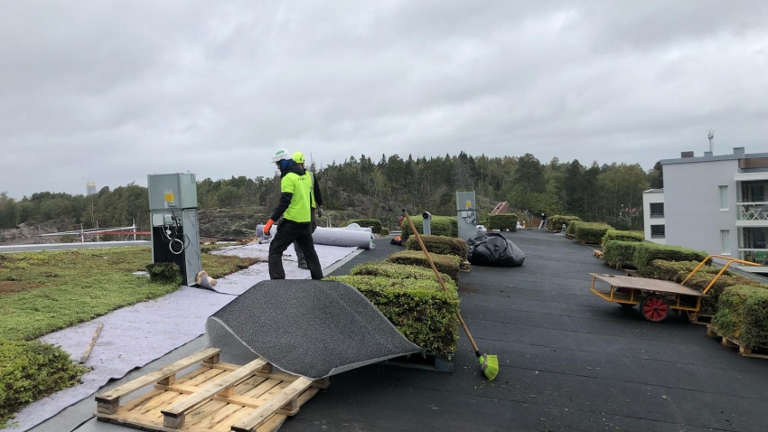 Nordic Green Roof® maksaruohomattoa asennetaan salaoja- ja vedenpitomaton päälle. Asentaja Eg-Trading Oy.