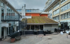 Siirtyminen referenssiin Casagrande-talon Nordic Green Roof maksaruohoviherkatto biopaneeleilla