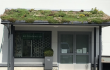 Nordic Green Roof® maksaruohomattoa kasvaa Eg-Trading Oy:n toimipisteen sisäänkäynnin katoksella. Eg-Trading Oy.
