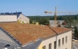 Nordic Green Roof maksaruohoviherkattoa asennetaan Kuninkaantammen koulun katolle, asentaja Eg-Trading Oy.