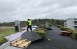Nordic Green Roof® maksaruohomattoa asennetaan salaoja- ja vedenpitomaton päälle. Asentaja Eg-Trading Oy.